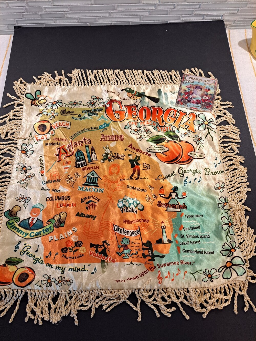 Catstudio Georgia Map Landmarks Satin Pillow Cover with Fringe NWOT 16" Sq